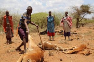 EFFECTS OF CLIMATE CHANGE AT KAJIADO COUNTY